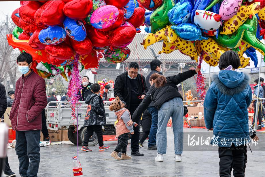 定州崇文街 韩锋摄影 13603288589 (9).jpg