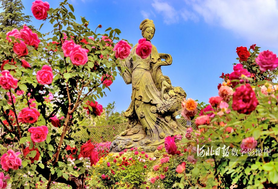 《仙女散花》
