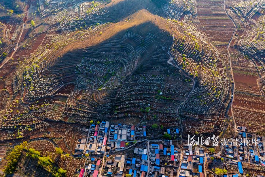 春意盎然(组照)1 唐山遵化邱庄水库.jpg