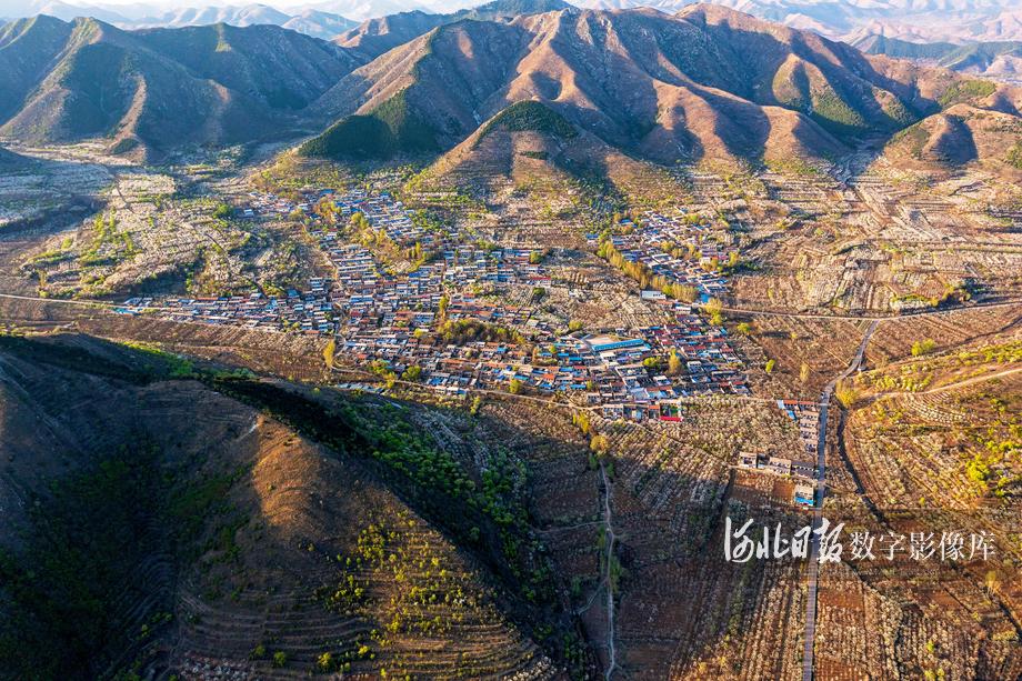 春意盎然(组照)2 唐山遵化邱庄水库.jpg